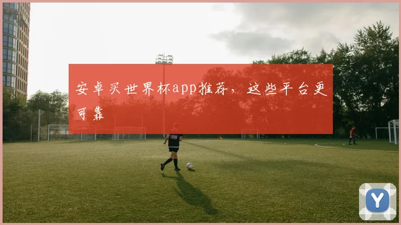 安卓买世界杯app推荐,这些平台更可靠