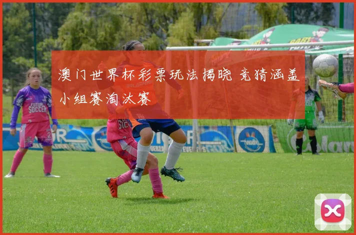澳门世界杯彩票玩法揭晓 竞猜涵盖小组赛淘汰赛