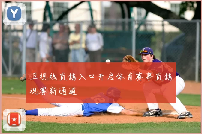 卫视线直播入口开启体育赛事直播观赛新通道