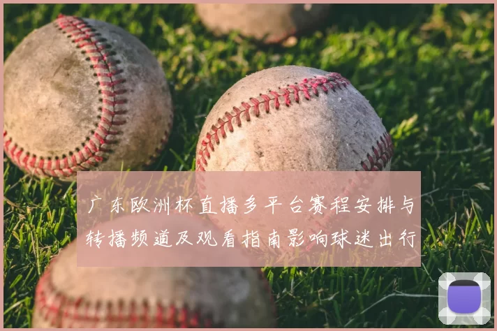 广东欧洲杯直播多平台赛程安排与转播频道及观看指南影响球迷出行