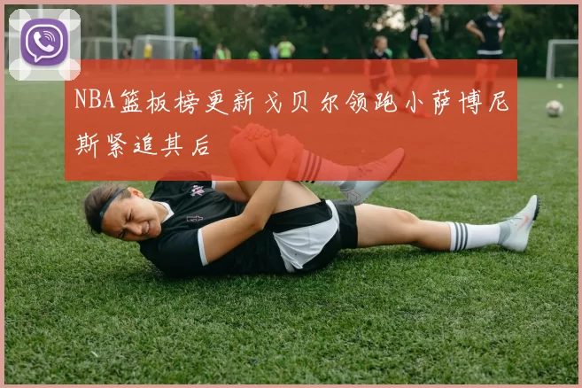 NBA篮板榜更新戈贝尔领跑小萨博尼斯紧追其后