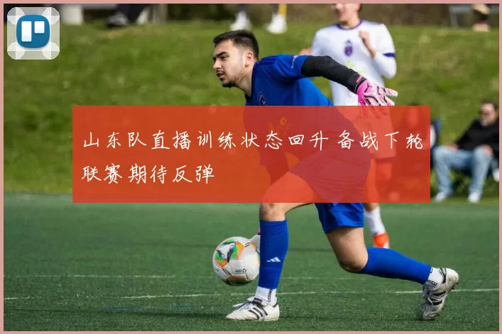 山东队直播训练状态回升 备战下轮联赛期待反弹